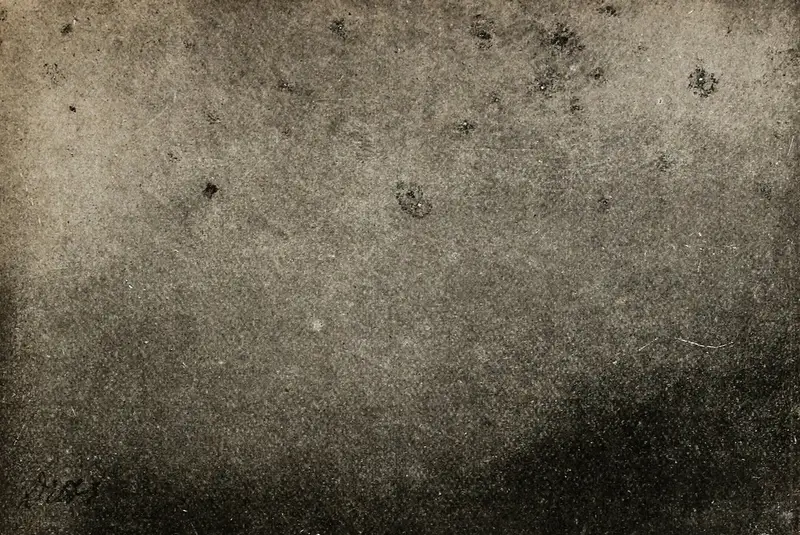 A photographic plate of fluid patterns, from Baraduc